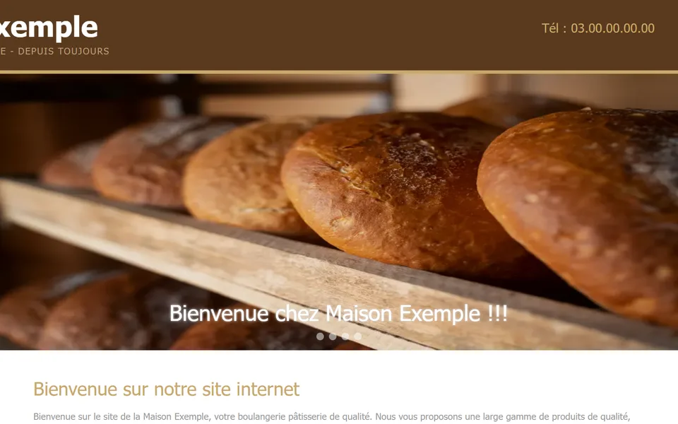 Ancien site : photo déformée, avec l’inscription « Bienvenue chez Maison Exemple !!! ».