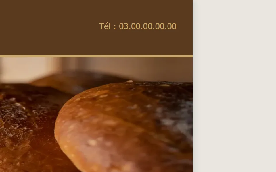 Ancien site : « Tél : 03.00.00.00.00 » en petites lettres en haut de la page.