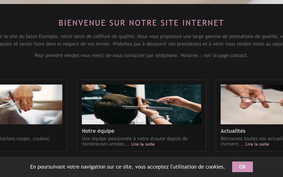 Ancien site : un bandeau gris en bas de l’écran, « En poursuivant votre navigation… », bouton « OK ».