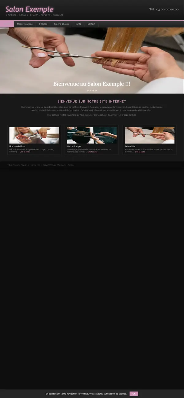 Ancien site sur téléphone : toute la page d’ordinateur, en tout petit.