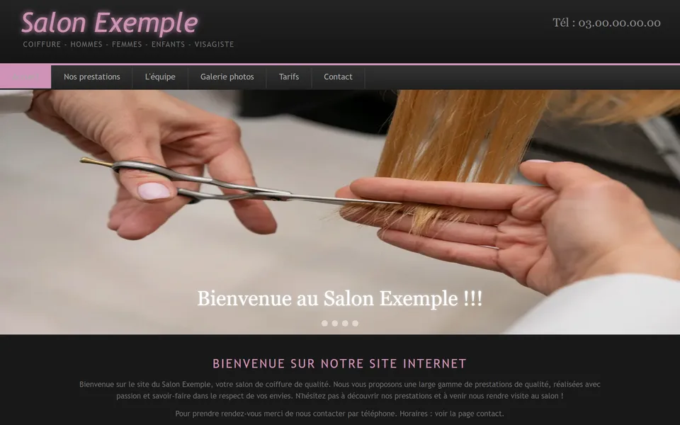 Ancien site : photo déformée, avec l’inscription « Bienvenue au Salon Exemple !!! ».