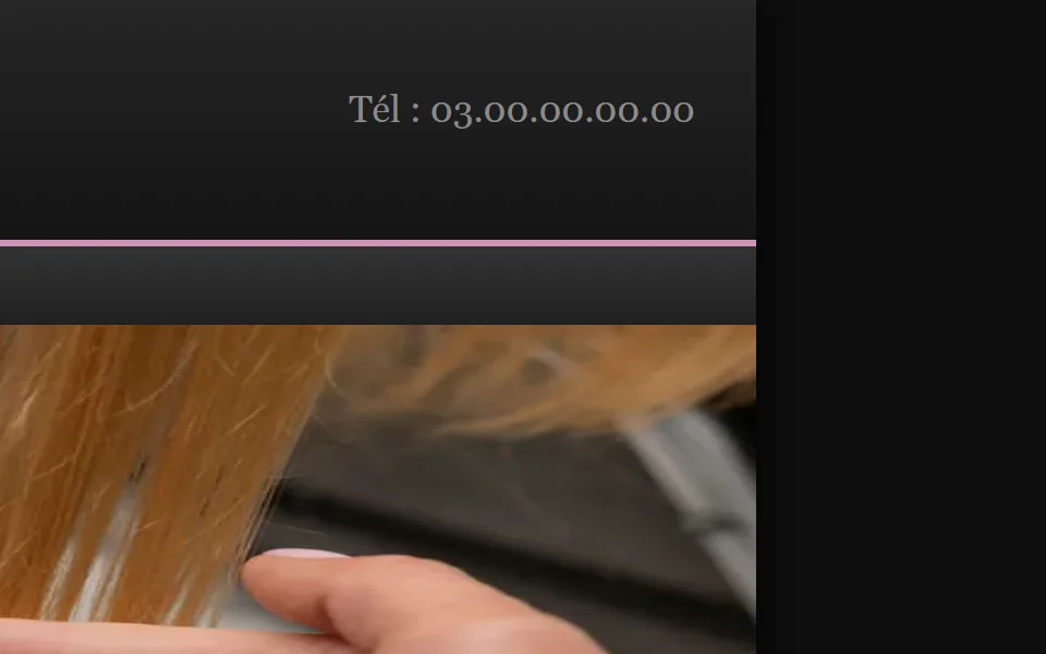 Ancien site : « Tél : 03.00.00.00.00 » en petites lettres en haut de la page.