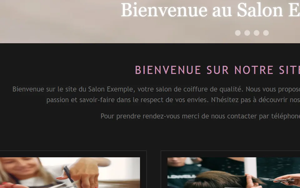Ancien site : un paragraphe en petites lettres gris clair sur fond blanc.