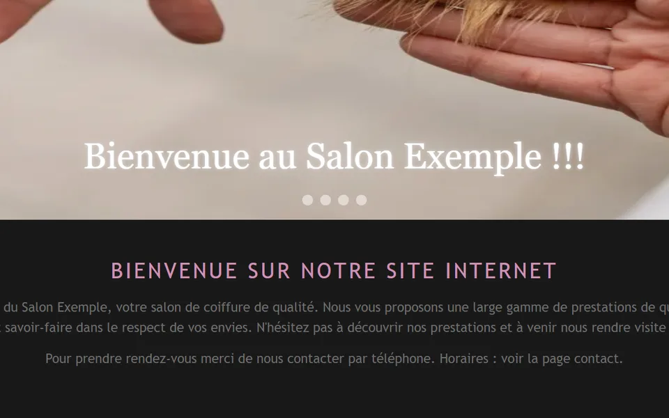 Ancien site : « Bienvenue au Salon Exemple !!! » puis « Bienvenue sur notre site internet ».
