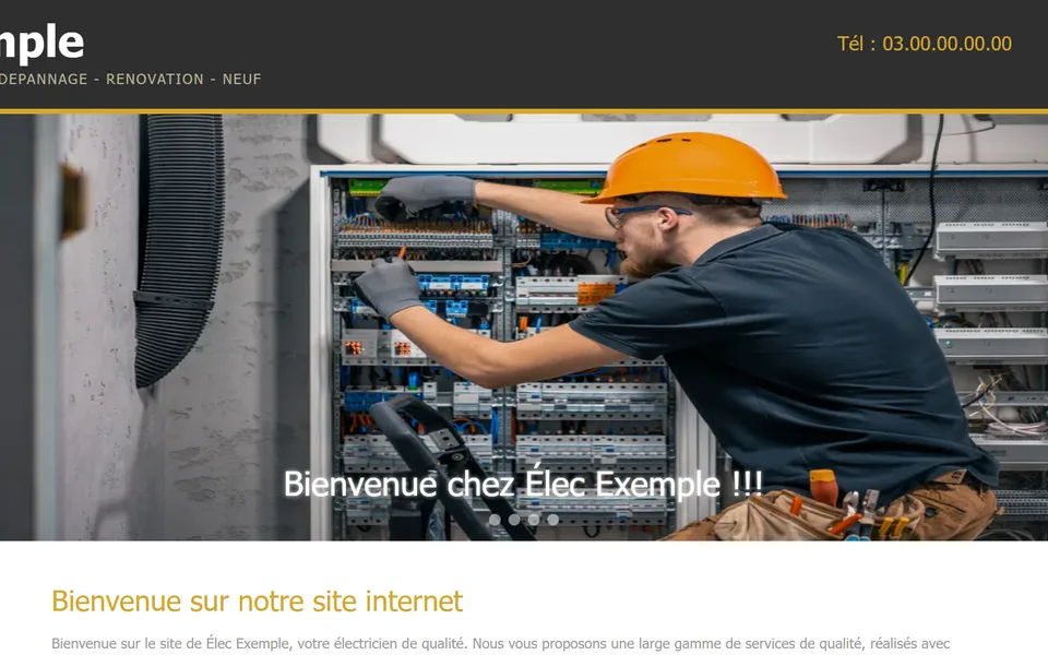 Ancien site : photo déformée, avec l’inscription « Bienvenue chez Élec Exemple !!! ».