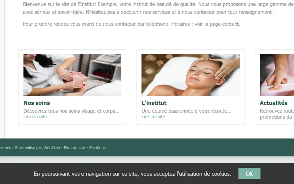 Ancien site : un bandeau gris en bas de l’écran, « En poursuivant votre navigation… », bouton « OK ».