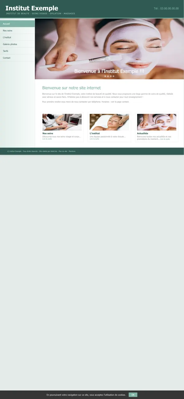 Ancien site sur téléphone : toute la page d’ordinateur, en tout petit.