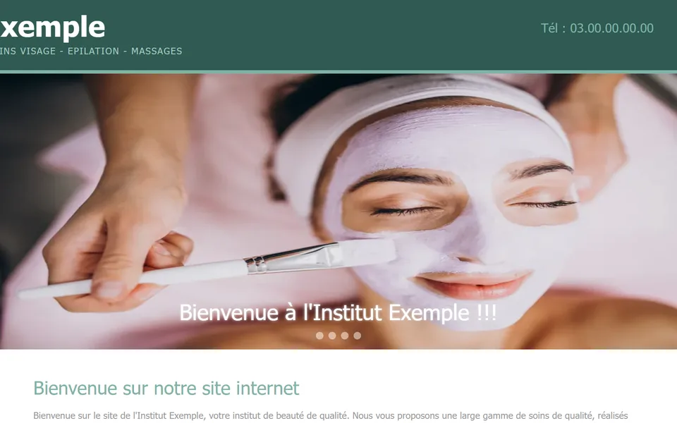 Ancien site : photo déformée, avec l’inscription « Bienvenue à l'Institut Exemple !!! ».