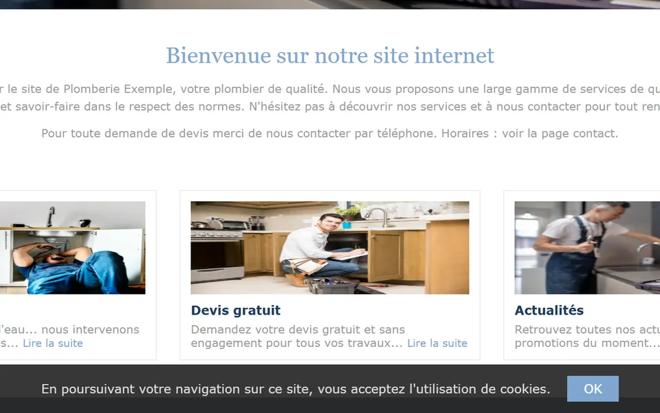 Ancien site : un bandeau gris en bas de l’écran, « En poursuivant votre navigation… », bouton « OK ».
