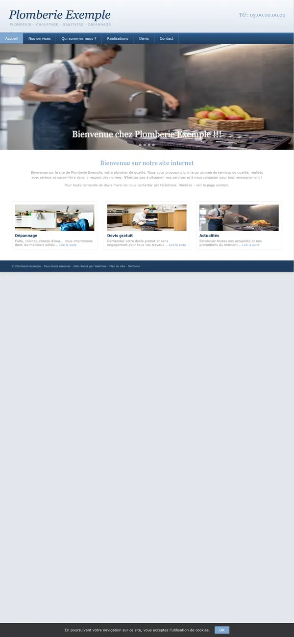 Ancien site sur téléphone : toute la page d’ordinateur, en tout petit.