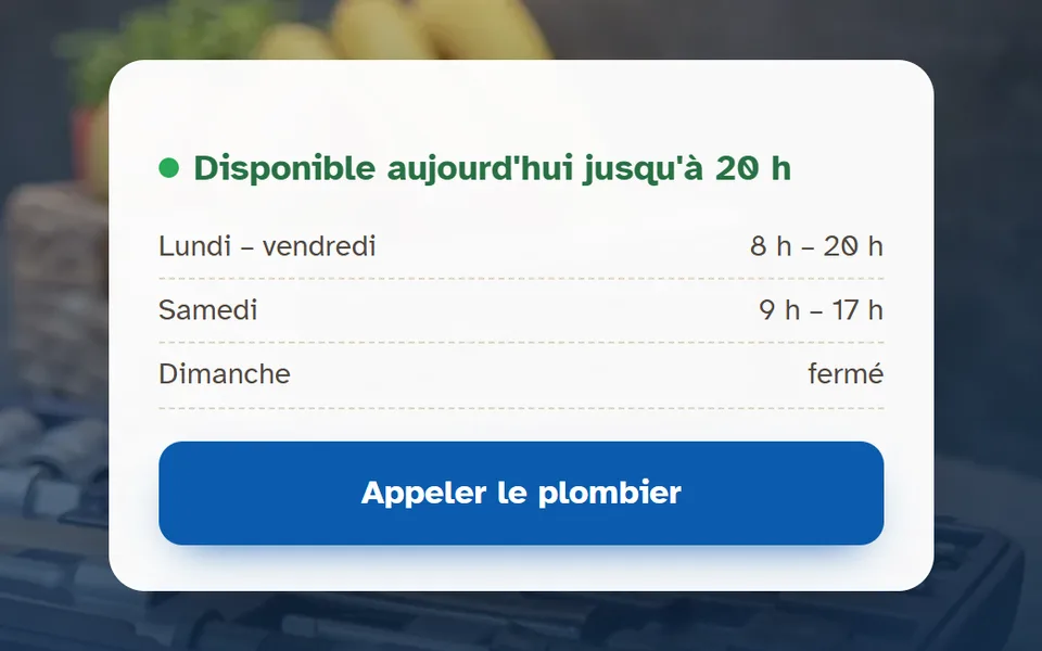 Nouveau site : un encadré « Disponible aujourd'hui jusqu'à 20 h », les horaires et le bouton « Appeler le plombier ».