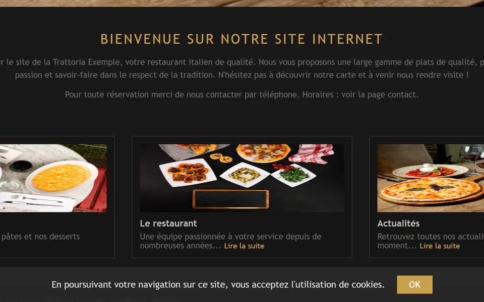 Ancien site : un bandeau gris en bas de l’écran, « En poursuivant votre navigation… », bouton « OK ».