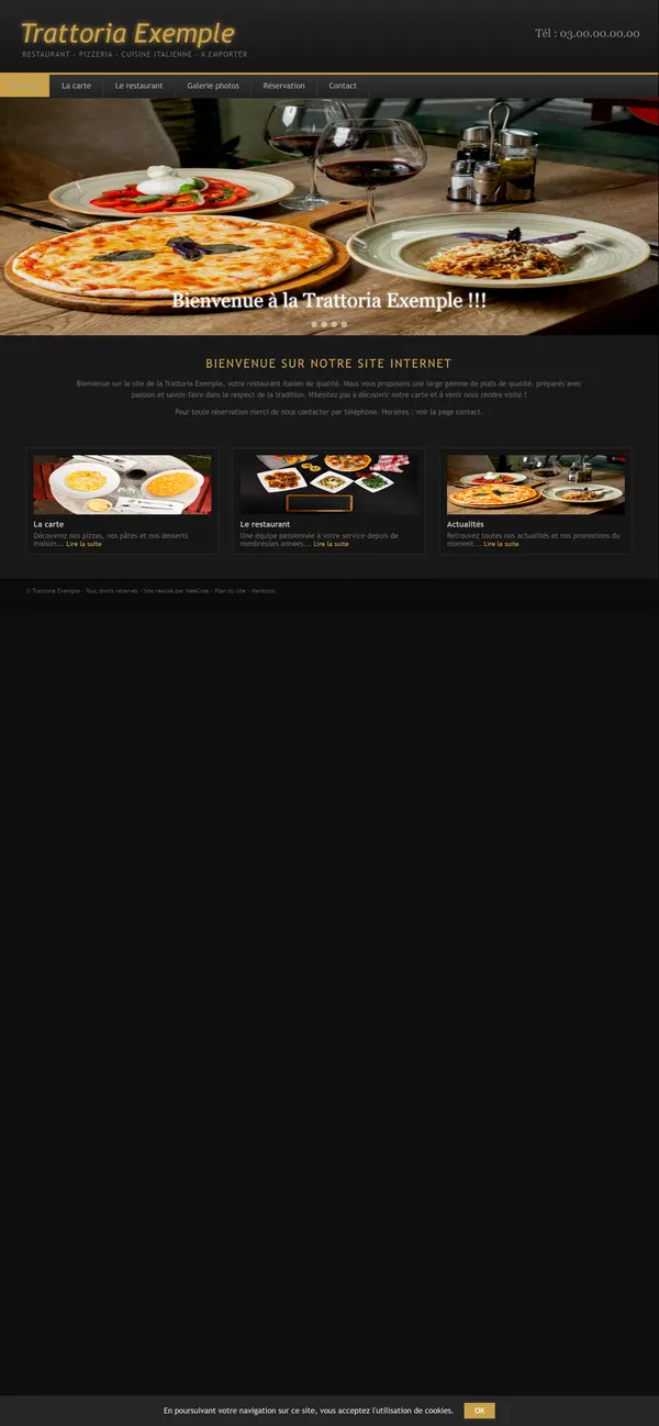 Ancien site sur téléphone : toute la page d’ordinateur, en tout petit.