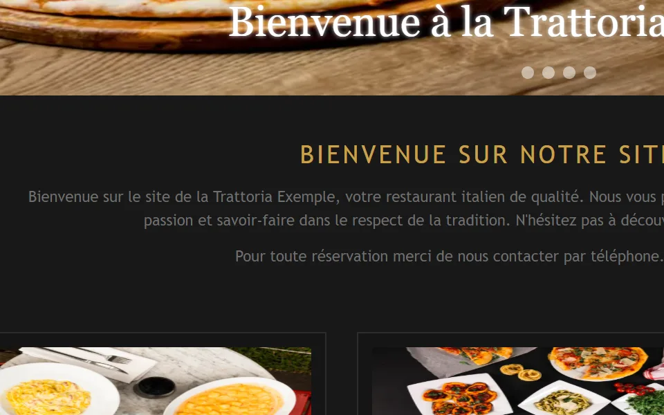 Ancien site : un paragraphe en petites lettres gris clair sur fond blanc.
